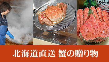 �k�C�������@�I�̑��蕨�@���E��