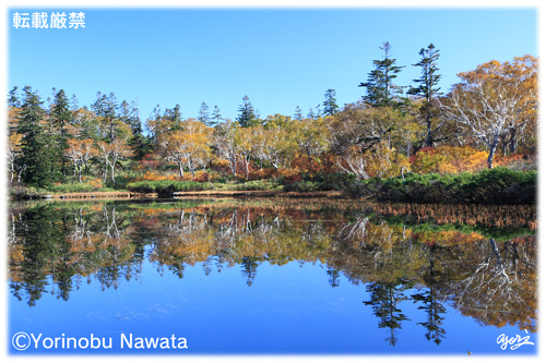 紅葉のニセコ・神仙沼水鏡／写真転載厳禁・プロ写真家縄田頼信