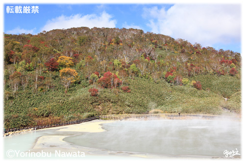 『紅葉のニセコ・大湯沼』転載厳禁・プロ写真家縄田頼信 紅葉のニセコ・大湯沼/写真転載厳禁・プロ写真家縄田頼信