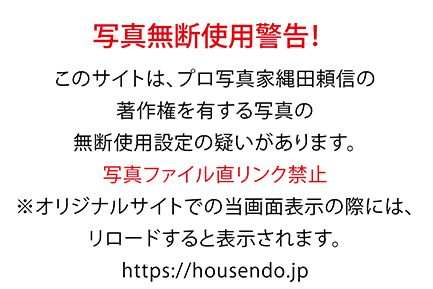 美瑛クリスマスツリー2014／写真転載厳禁・プロ写真家なわたよりのぶ