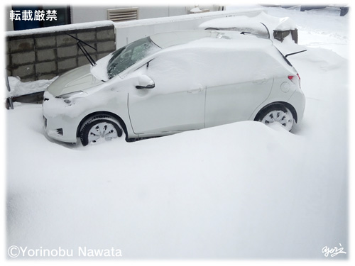 吹き溜りに車埋まる・写真／転載厳禁・プロ写真家なわたよりのぶ