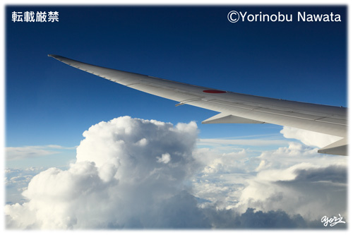 積乱雲B787翼イメージ／写真転載厳禁・プロ写真家なわたよりのぶ