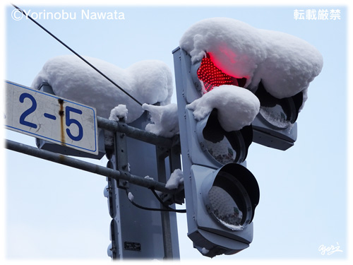 「雪に覆われた信号機」写真／転載厳禁・プロ写真家なわたよりのぶ