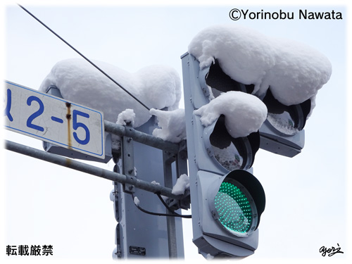 「雪に覆われた北海道の信号機」写真／転載厳禁・プロ写真家なわたよりのぶ