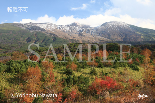 「紅葉望岳台と冠雪十勝岳」写真・転載厳禁・プロ写真家なわたよりのぶ