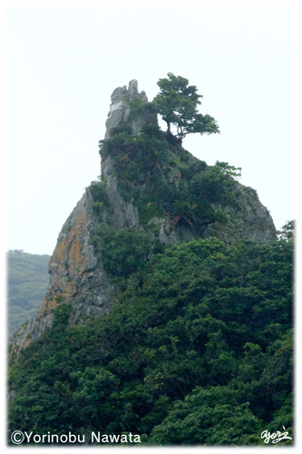 伊平屋島チョンビ石／写真転載厳禁・プロ写真家なわたよりのぶ