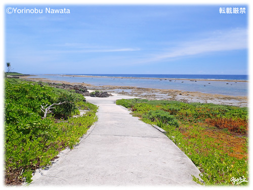 「ピザ浜」写真・転載厳禁・プロ写真家なわたよりのぶ