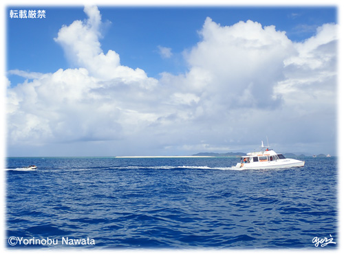 「ボート曳航」見本写真・転載厳禁・プロ写真家なわたよりのぶ