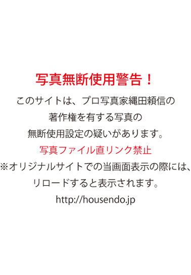 �A�I���B�e���{�ʐ^