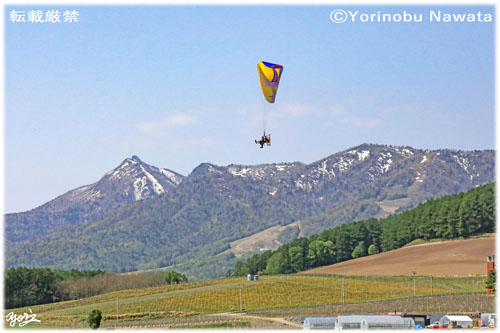 写真『モーターパラグライダーと葡萄畑』転載厳禁・プロ写真家なわたよりのぶ