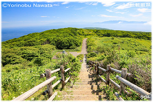 「珠島山展望台への路」見本写真・転載厳禁・プロ写真家なわたよりのぶ