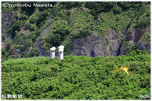 「空を仰ぐ北追岬」写真・転載厳禁・プロ写真家なわたよりのぶ