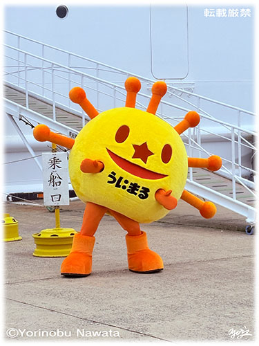「マスコットキャラクター　うにまる」見本写真・転載厳禁・プロ写真家なわたよりのぶ
