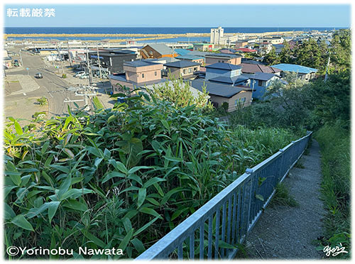 「津波退避道」写真・転載厳禁・プロ写真家なわたよりのぶ