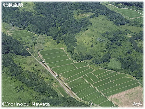 「富里地区の水田・航空写真」航空写真・転載厳禁・プロ写真家なわたよりのぶ