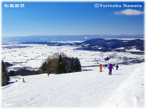 ぴっぷスキー場・イメージ／写真転載厳禁・プロ写真家なわたよりのぶ