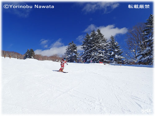 ぴっぷスキー場のスキーヤー／写真転載厳禁・プロ写真家なわたよりのぶ