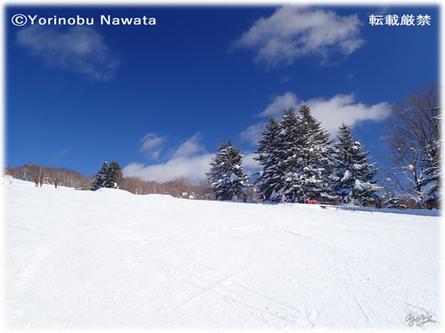 ぴっぷスキー場・滑走ポール／写真転載厳禁・プロ写真家なわたよりのぶ