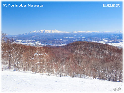 ぴっぷスキー場からの大雪山連峰／写真転載厳禁・プロ写真家なわたよりのぶ