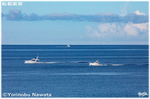 「モーターボート並走」写真・転載厳禁・プロ写真家なわたよりのぶ