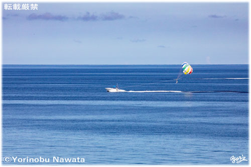 「水納島パラセーリング」見本写真・転載厳禁・プロ写真家なわたよりのぶ