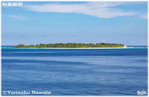 「水納島Ⅱ」見本写真・転載厳禁・プロ写真家なわたよりのぶ