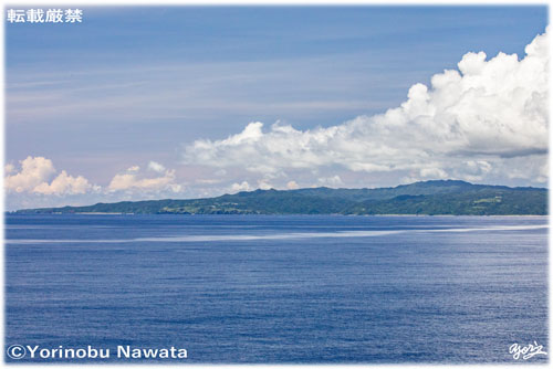 「宜名真の森」見本写真・転載厳禁・プロ写真家なわたよりのぶ