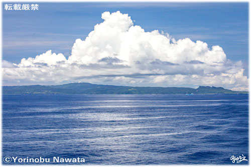 「辺戸岬と奥やんばるの森」見本写真・転載厳禁・プロ写真家なわたよりのぶ