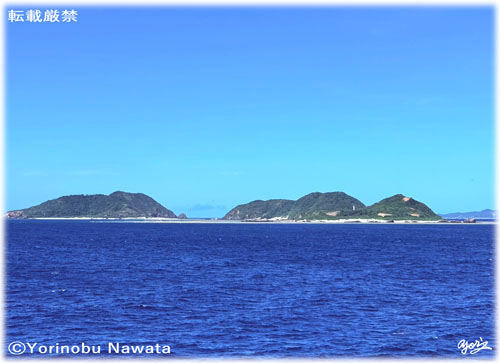 「前島・中島」写真転載厳禁・プロ写真家なわたよりのぶ