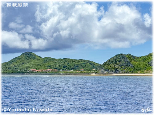 「高田浜と西森園地展望台」写真転載厳禁・プロ写真家なわたよりのぶ