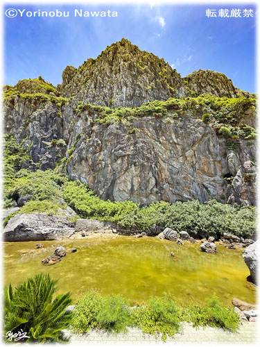 「シュンザ（渡名喜島）」見本写真・転載厳禁・プロ写真家なわたよりのぶ
