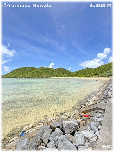 「アンジューラ海岸」写真転載厳禁・プロ写真家なわたよりのぶ