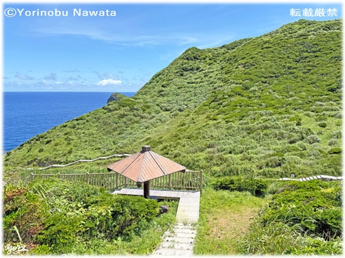 「島尻毛散策道」写真転載厳禁・プロ写真家なわたよりのぶ