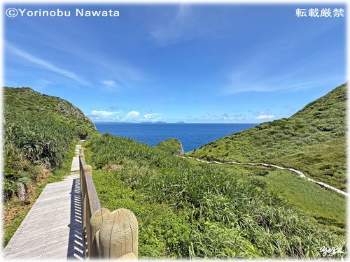 「２本の島尻毛散策道」写真転載厳禁・プロ写真家なわたよりのぶ