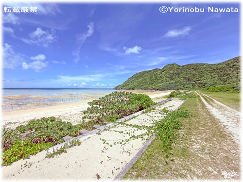 「アンジェーラ浜（渡名喜島）」写真転載厳禁・プロ写真家なわたよりのぶ