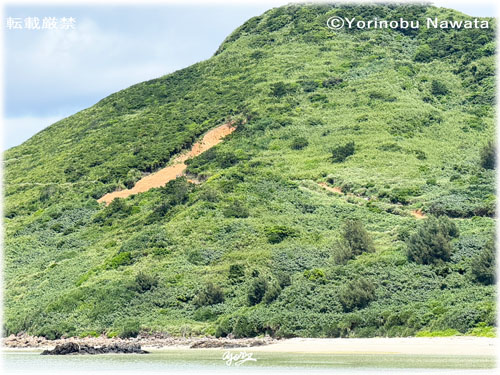 「サカシ散策道・崩落箇所」写真転載厳禁・プロ写真家なわたよりのぶ