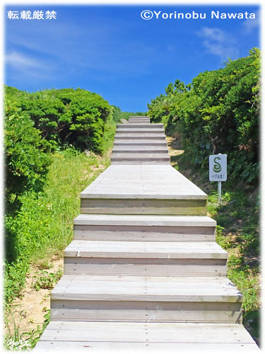 「島尻毛散策道のハブ注意看板」写真転載厳禁・プロ写真家なわたよりのぶ