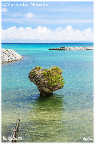 「与論・茶花海岸西端の奇岩」写真転載厳禁・プロ写真家なわたよりのぶ