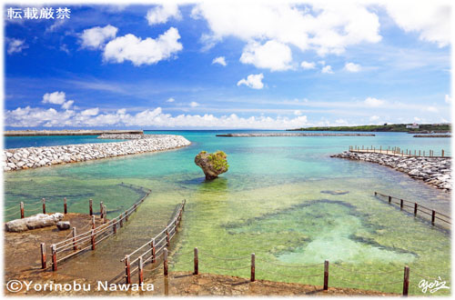 「与論・茶花海岸西端」写真転載厳禁・プロ写真家なわたよりのぶ