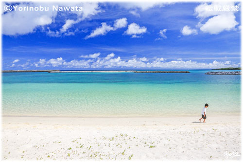 「茶花海岸海際を散歩」写真転載厳禁・プロ写真家なわたよりのぶ