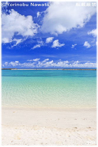 「茶花海岸の海辺」写真転載厳禁・プロ写真家なわたよりのぶ