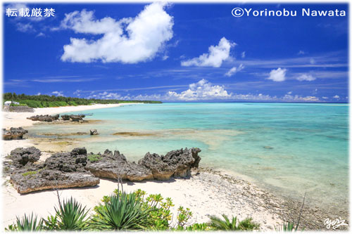 「大金久海岸・奄美十景」写真転載厳禁・プロ写真家なわたよりのぶ