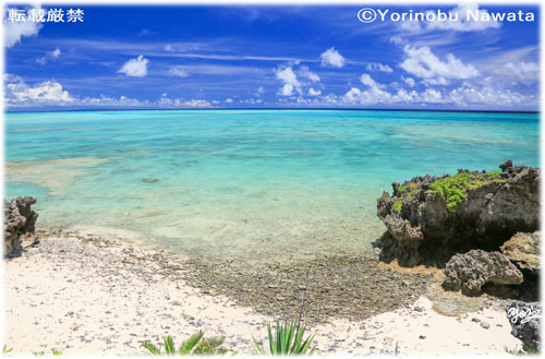 奄美十景／写真転載厳禁・プロ写真家なわたよりのぶ