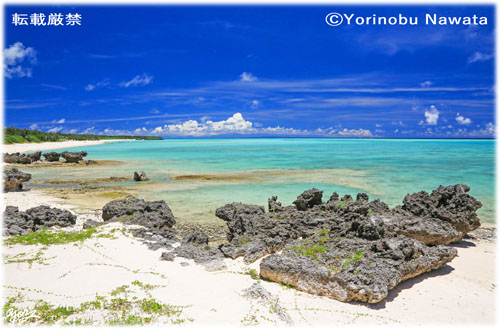 「奄美十景・大金久海岸」写真転載厳禁・プロ写真家なわたよりのぶ