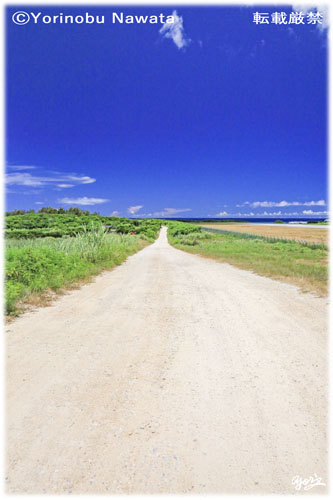 「コーラルウェイ」写真転載厳禁・プロ写真家なわたよりのぶ