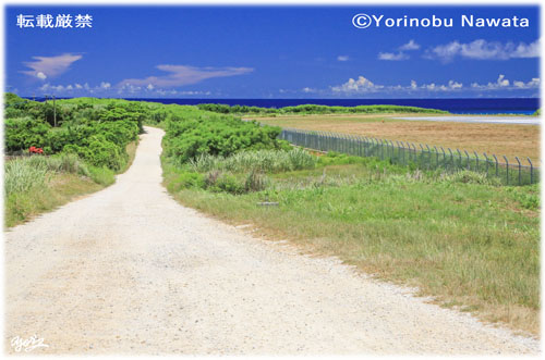 「コーラルウェイと滑走路」写真転載厳禁・プロ写真家なわたよりのぶ