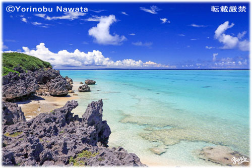 「与論・鳩の湖」写真転載厳禁・プロ写真家なわたよりのぶ