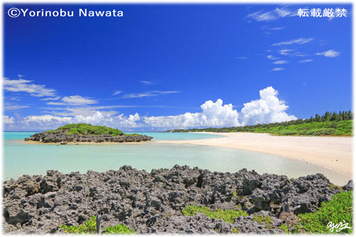 「」写真転載厳禁・プロ写真家なわたよりのぶ