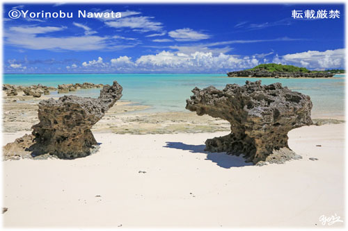 「船倉海岸・双龍岩」写真転載厳禁・プロ写真家なわたよりのぶ