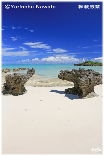 「双龍岩（船倉海岸）」写真転載厳禁・プロ写真家なわたよりのぶ